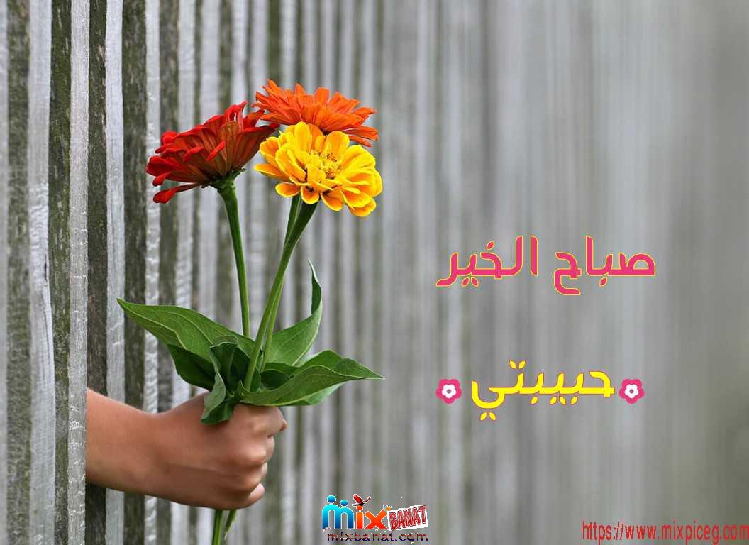 صور صباحالخير 4165 9