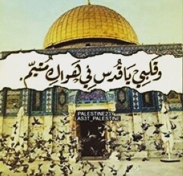 صور عن فلسطين - صورة فى حب القدس 1320 1