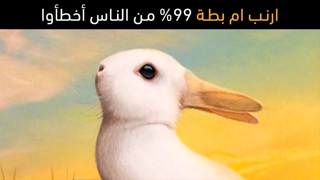 الغاز مضحكة - الغاز غاية في الكوميديا 3457 8