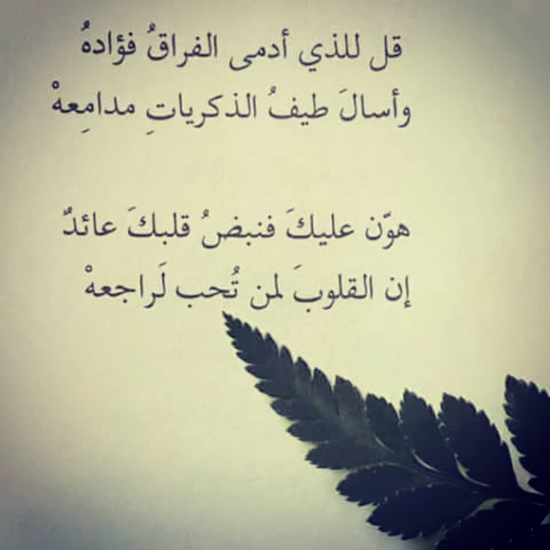 شعر عن البلد 12805 11