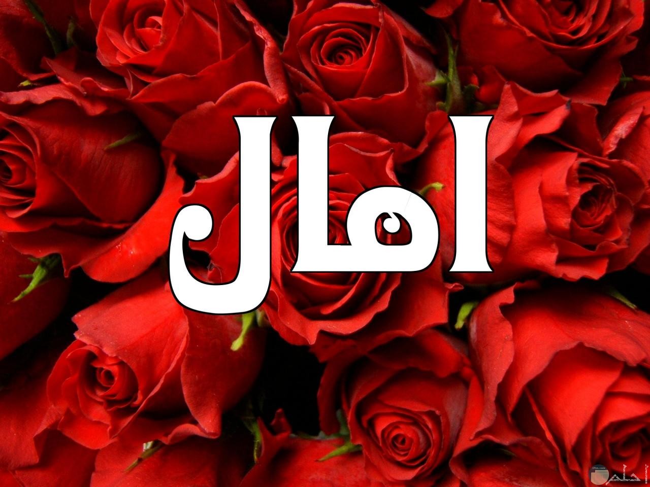 صور اسم امل 4370 5