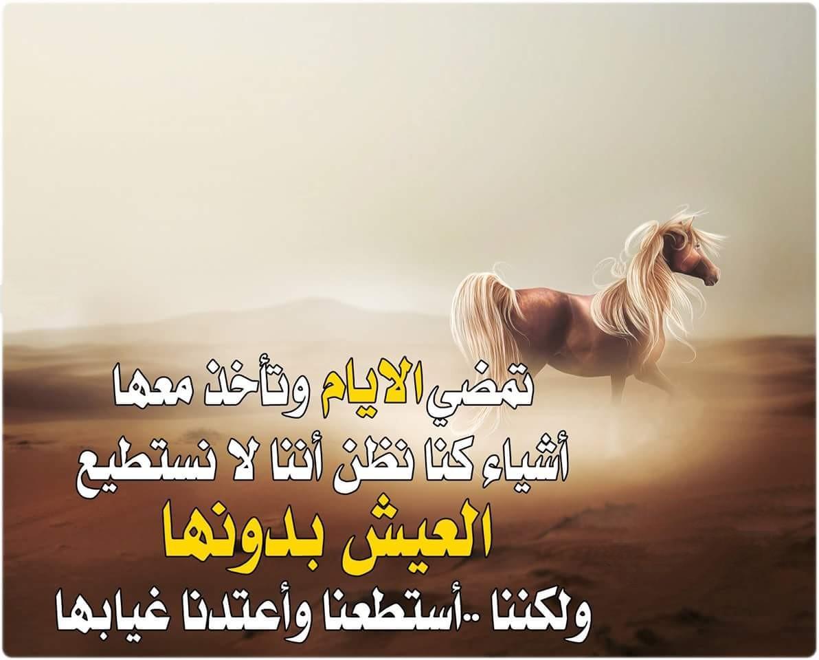 صور عن عزة النفس 4466 9