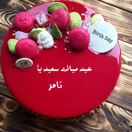 صور باسم تامر 12790 3