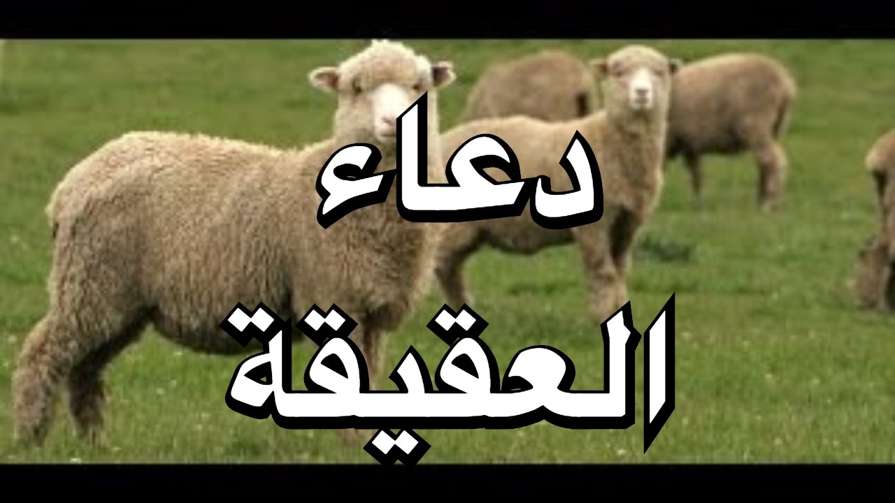 دعاء العقيقة , الادعية المشهورة عند عمل عقيقة