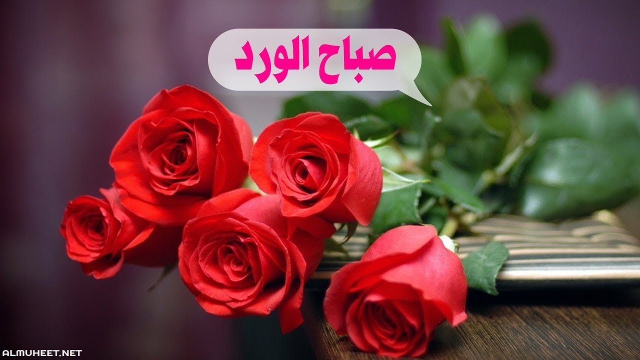 رسائل صباح الخير 4383 7