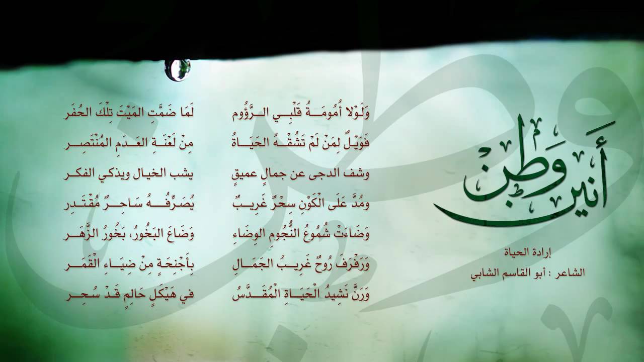 شعر عن الوطن 4485 7