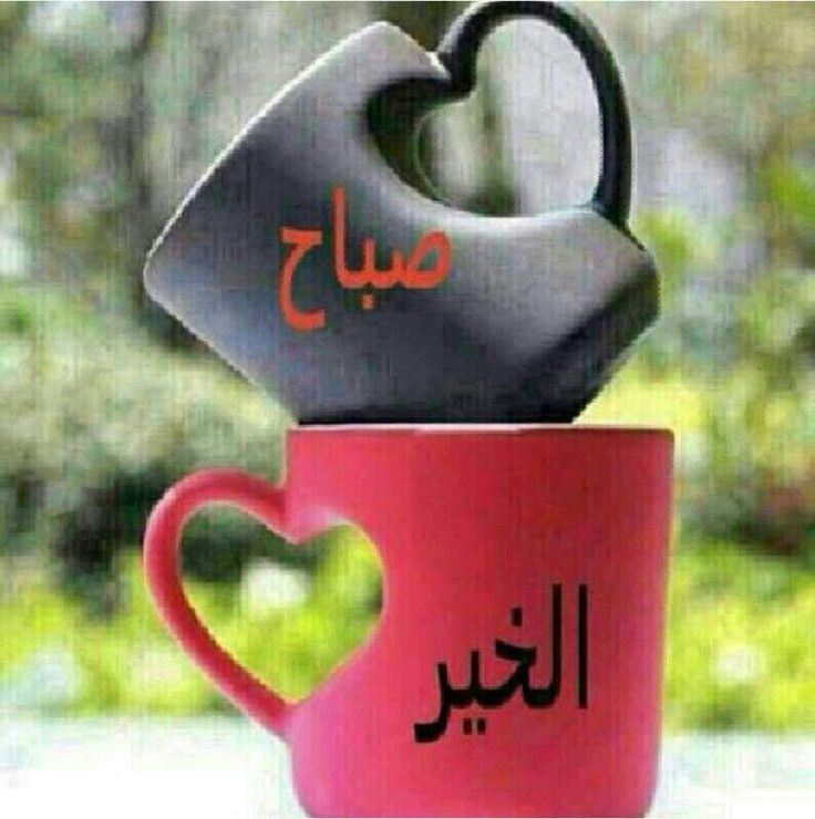 صور منوعه جديده - احدث صور متنوعه 2237 1