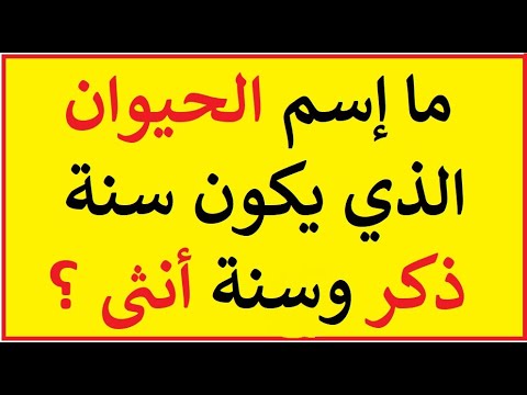 الغاز وحلها مضحكة 12138 7