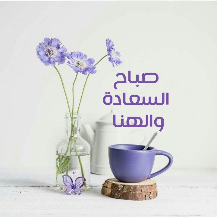 صور صباحيه جميله - اجمل صور صباحية وروعة 58 11