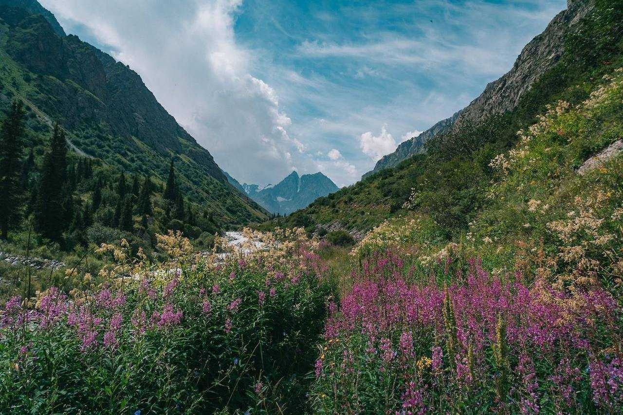 الطبيعة في المغرب 12857 4