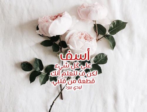 كلمات اعتذار للحبيب - كلمات ندم واسف للحبيب 5042 11