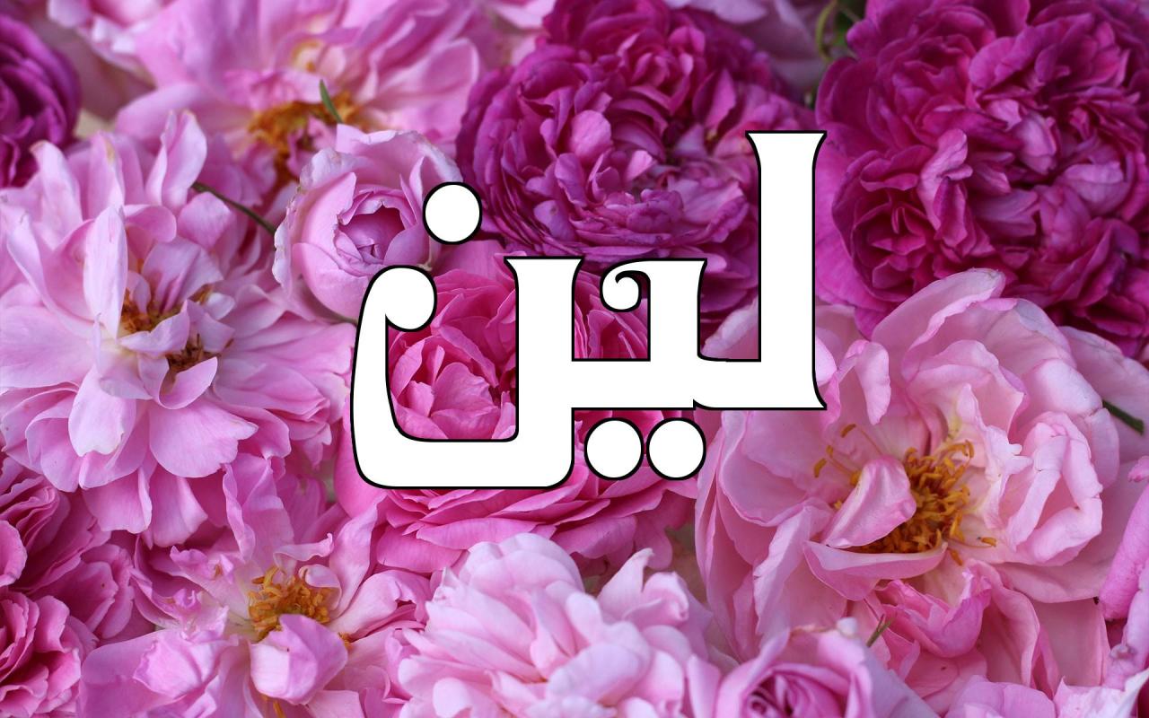 معنى اسم لين 4258 1