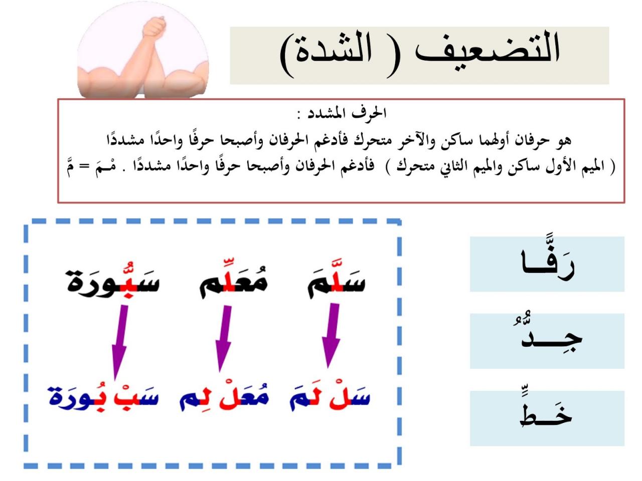 كلمات بها حرف مشدد 12022 1