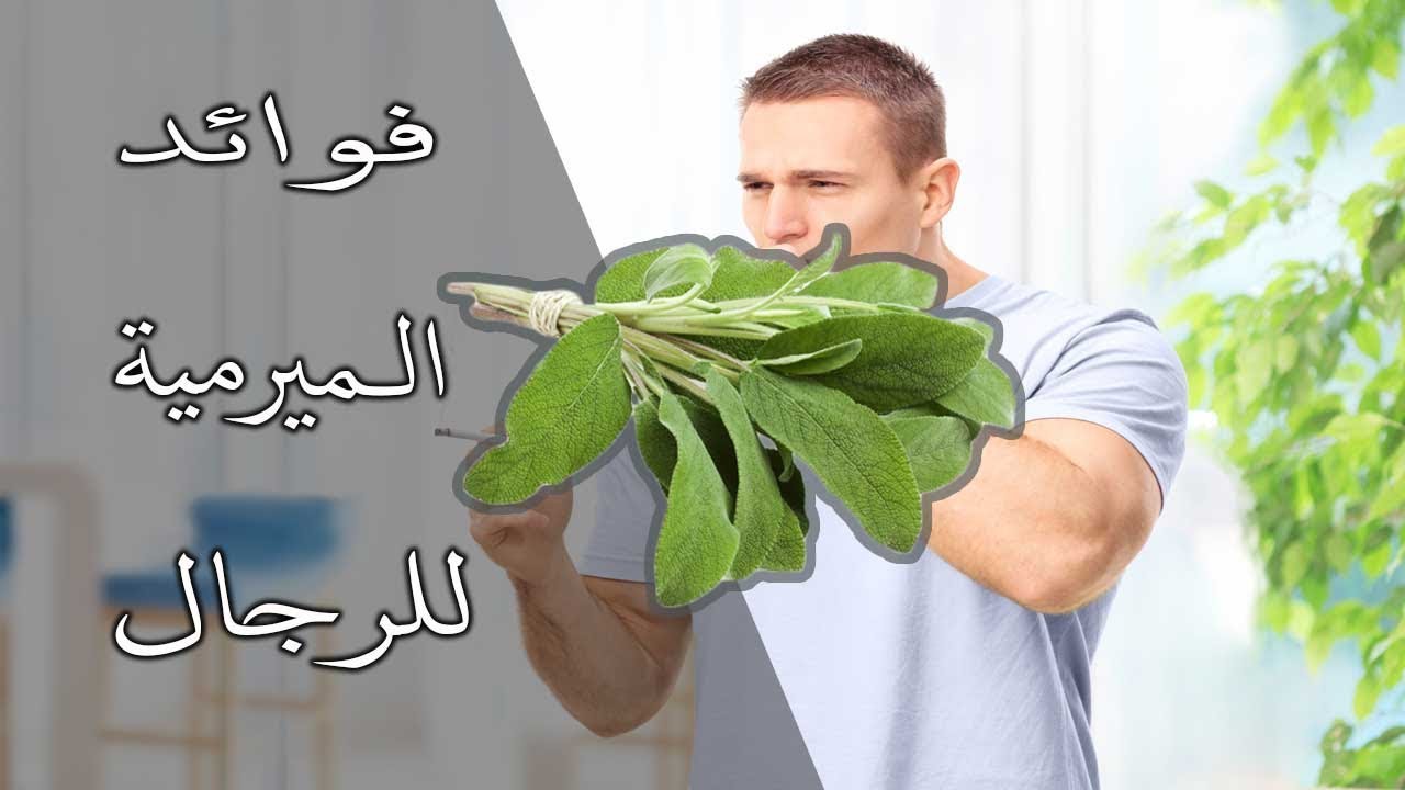 فوائد الميرمية للرجال