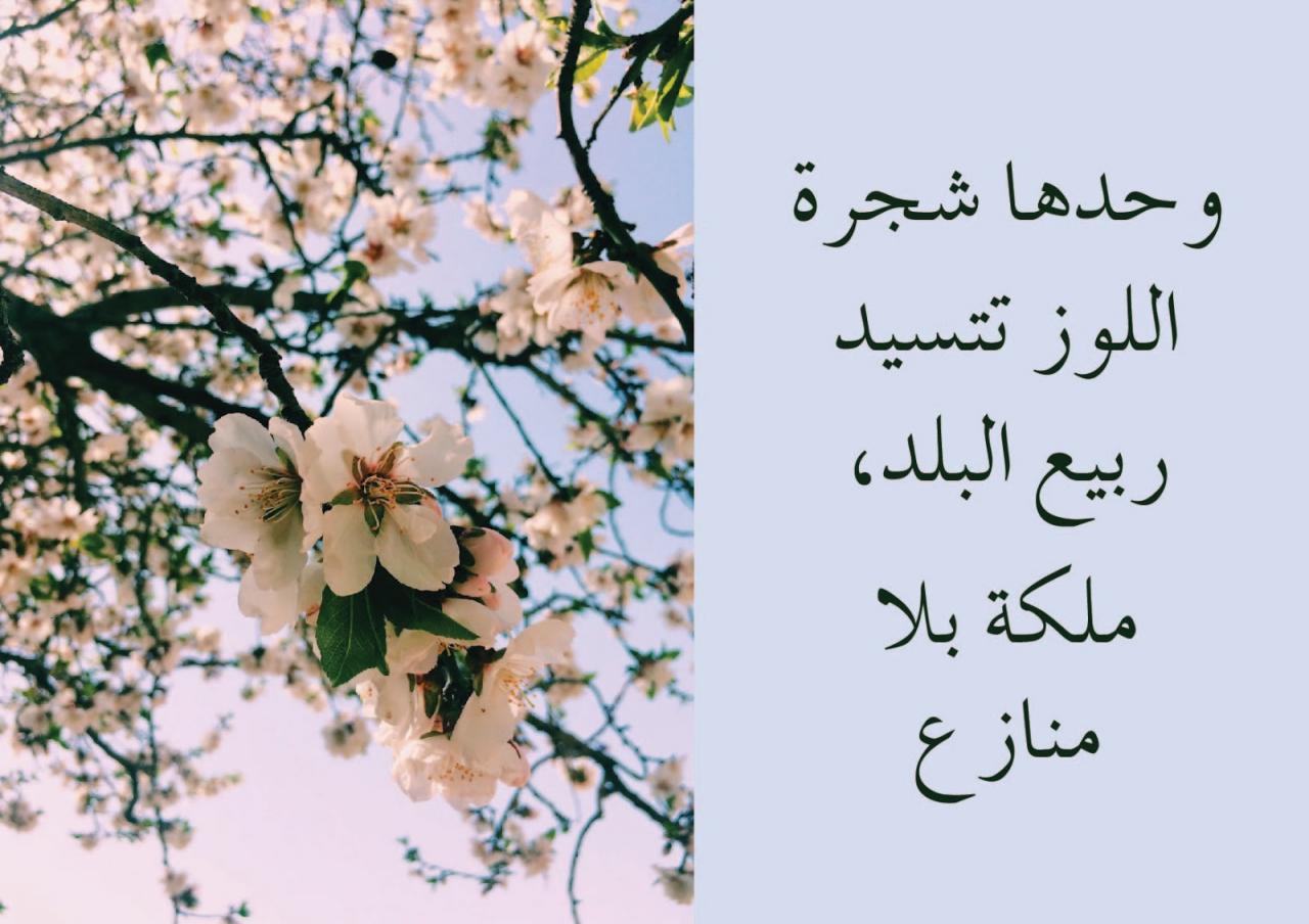 شعر عن الربيع , شعر حلو و مبهج عن الربيع