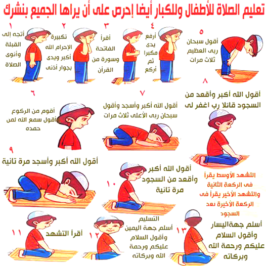 ماهي اركان الصلاة - تعلم الصلاة خطوة بخطوة 1359