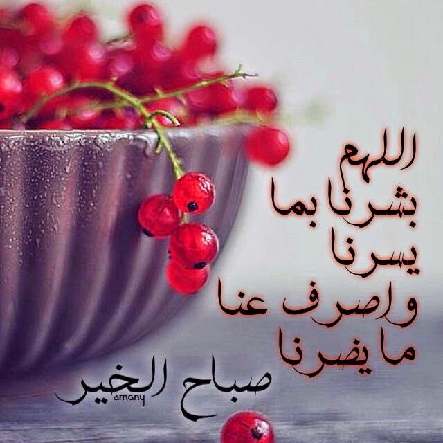 صور صباحيات - صباحكم خير وفرحه 2879 5