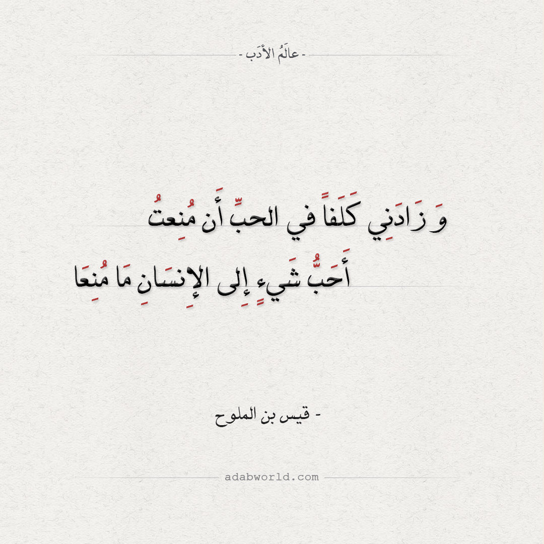 اجمل شعر غزل 4205 10