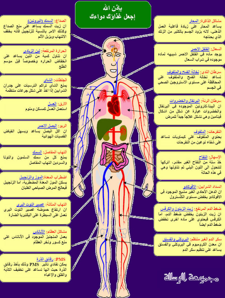 صور علمية , صور لاكتشافات علمية رائعه