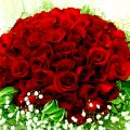 5789 10 صور ورود حلوه - اجمل باقات الورود الحمراء U2