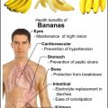 6235 2 فوائد الموز - فاكهة الموز طعمها وفائدتها تفيده حارث