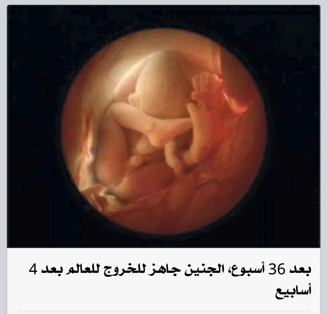 20 недель половина. Эмбрион на 20 неделе беременности. Ребёнок в 20 недель беременности. Плод на 20 неделе беременности.