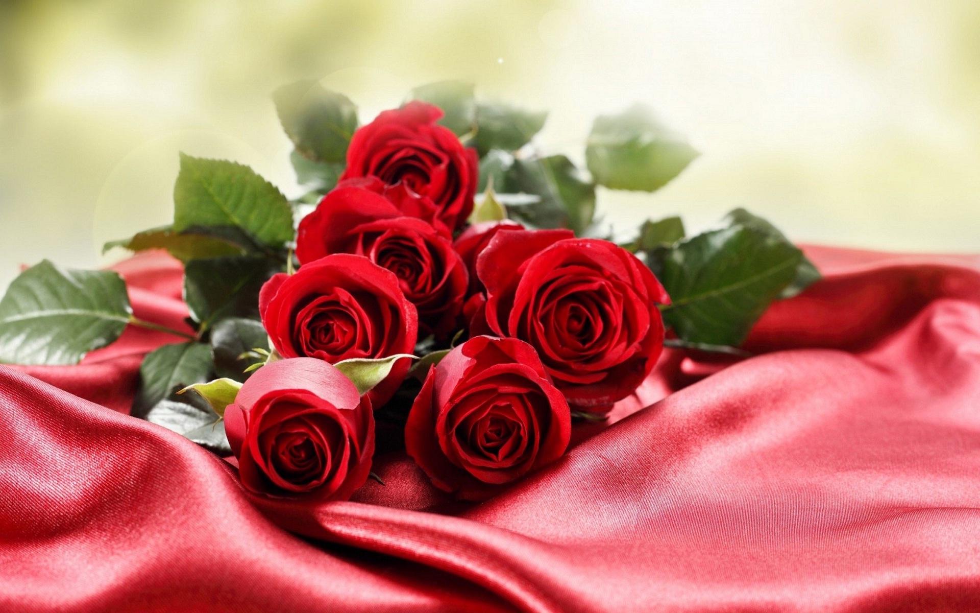 خصم كبير اختيار ضخم من تصميم فريد اجمل الورود الحمراء