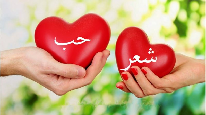 شعر جميل عن الحب , اجمل شعر عن الحب لارساله للعاشقين