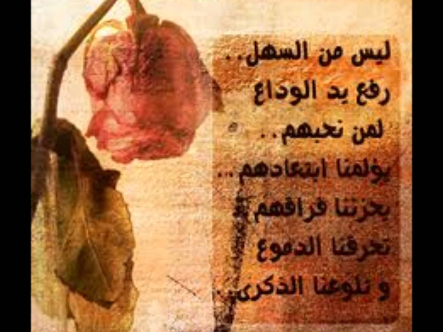 كلمات وداع قصيره , شاهد اروع عبارات الواع القصيرة