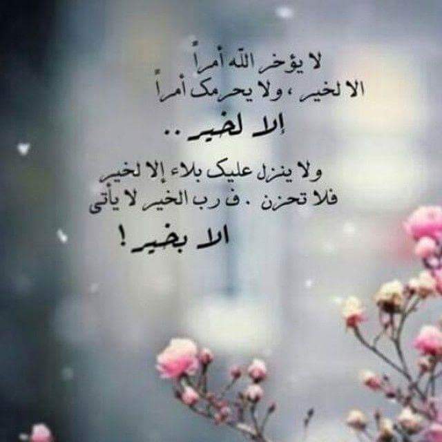 صور كلمات رائعة