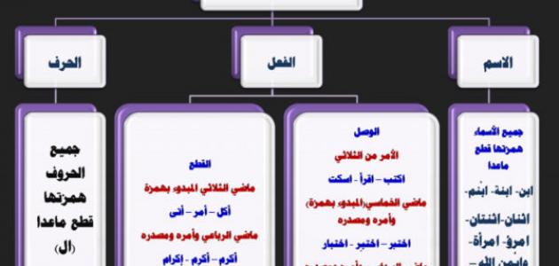 الفرق بين همزة الوصل والقطع , ما هي الفروق بين الهمزات